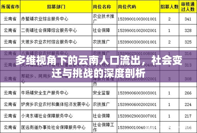 多維視角下的云南人口流出，社會變遷與挑戰(zhàn)的深度剖析