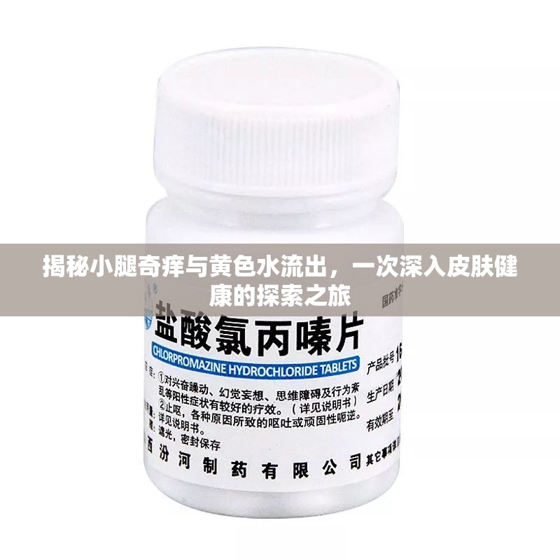 揭秘小腿奇癢與黃色水流出，一次深入皮膚健康的探索之旅