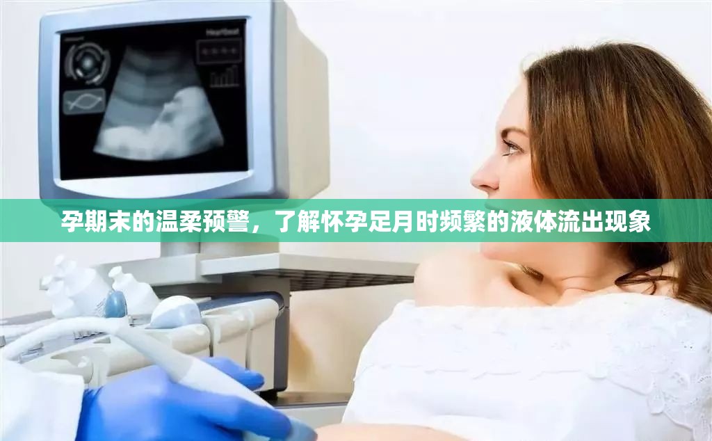 孕期末的溫柔預(yù)警，了解懷孕足月時頻繁的液體流出現(xiàn)象