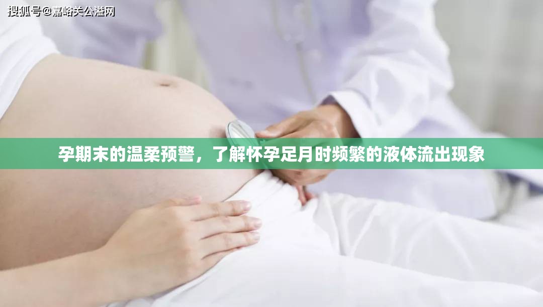 孕期末的溫柔預(yù)警，了解懷孕足月時頻繁的液體流出現(xiàn)象