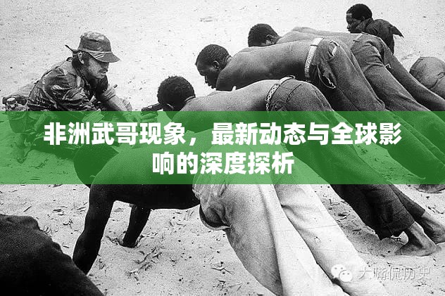 非洲武哥現(xiàn)象，最新動態(tài)與全球影響的深度探析