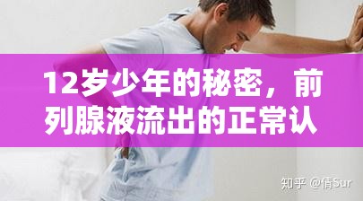 12歲少年的秘密，前列腺液流出的正常認知與常見誤解
