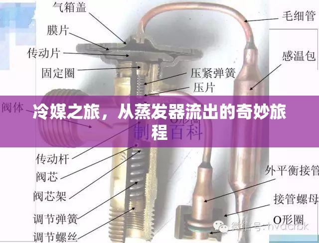 冷媒之旅，從蒸發(fā)器流出的奇妙旅程