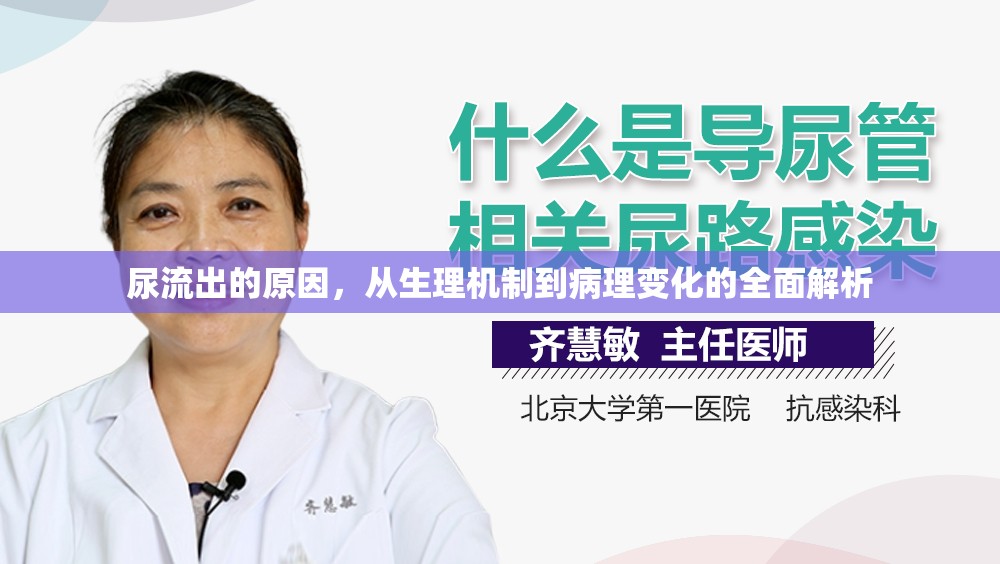 尿流出的原因，從生理機(jī)制到病理變化的全面解析
