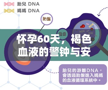 懷孕60天，褐色血液的警鐘與安心應(yīng)對(duì)指南