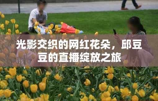 光影交織的網(wǎng)紅花朵，邱豆豆的直播綻放之旅