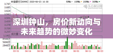 深圳鐘山，房價新動向與未來趨勢的微妙變化