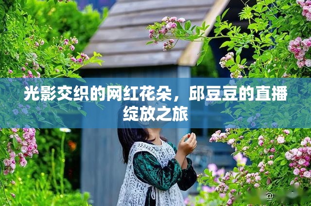 光影交織的網(wǎng)紅花朵，邱豆豆的直播綻放之旅