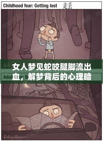 女人夢見蛇咬腿腳流出血，解夢背后的心理暗示與寓意