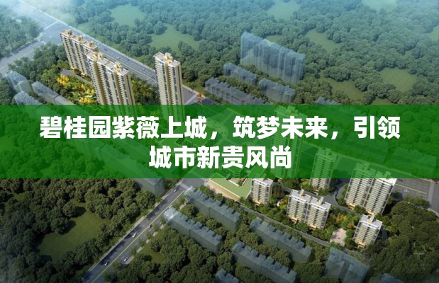 碧桂園紫薇上城，筑夢未來，引領(lǐng)城市新貴風(fēng)尚