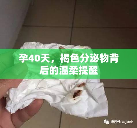 孕40天，褐色分泌物背后的溫柔提醒