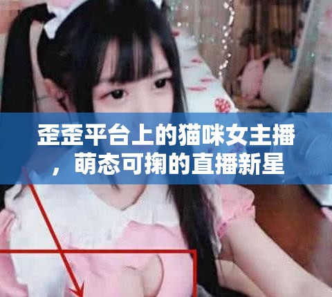 歪歪平臺上的貓咪女主播，萌態(tài)可掬的直播新星