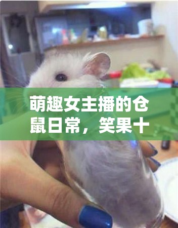 萌趣女主播的倉鼠日常，笑果十足的萌寵時光