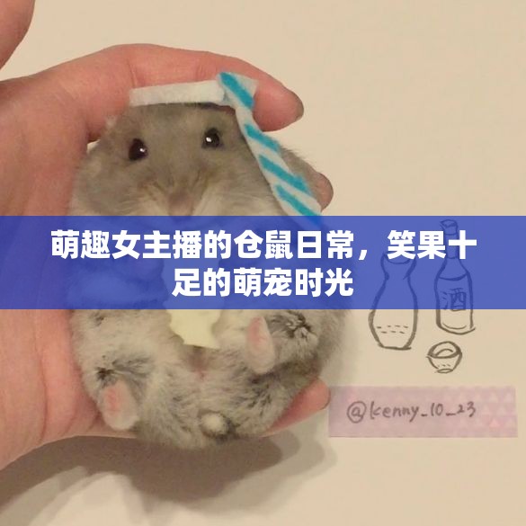 萌趣女主播的倉鼠日常，笑果十足的萌寵時光