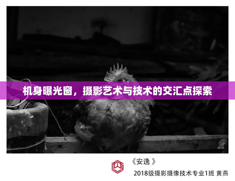 機(jī)身曝光窗，攝影藝術(shù)與技術(shù)的交匯點(diǎn)探索