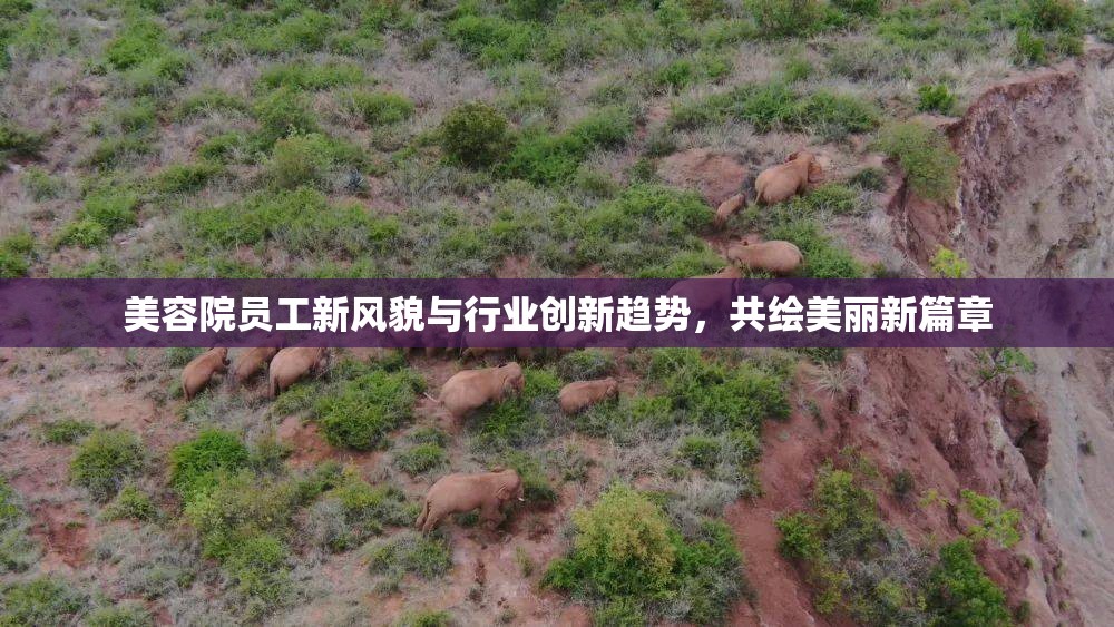美容院員工新風貌與行業(yè)創(chuàng)新趨勢，共繪美麗新篇章