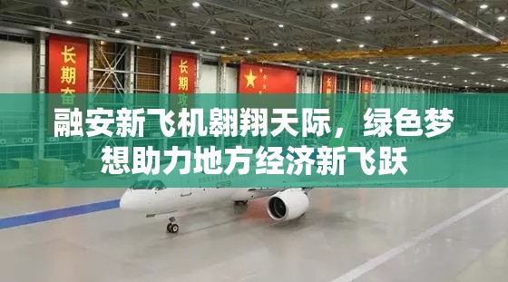 融安新飛機翱翔天際，綠色夢想助力地方經(jīng)濟新飛躍