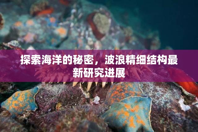 探索海洋的秘密，波浪精細(xì)結(jié)構(gòu)最新研究進(jìn)展