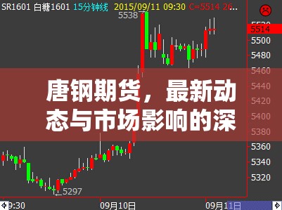 唐鋼期貨，最新動態(tài)與市場影響的深度剖析
