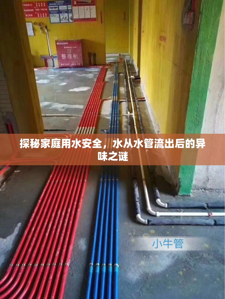 探秘家庭用水安全，水從水管流出后的異味之謎
