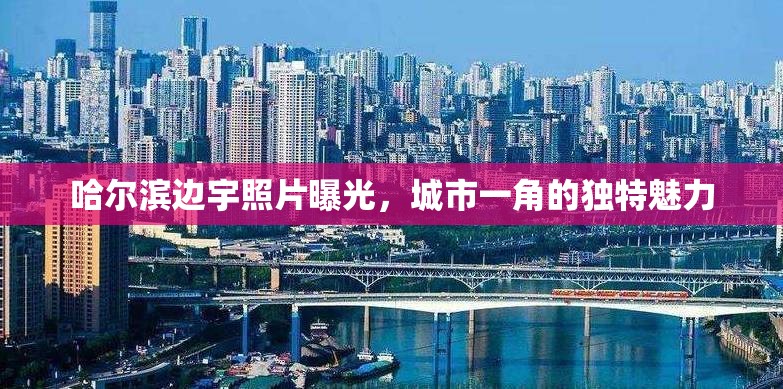哈爾濱邊宇照片曝光，城市一角的獨(dú)特魅力