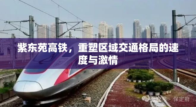 紫東苑高鐵，重塑區(qū)域交通格局的速度與激情