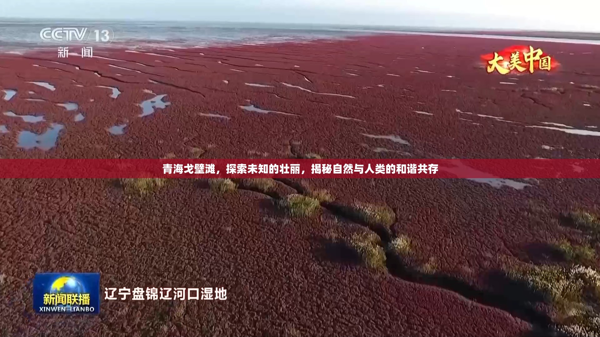 青海戈壁灘，探索未知的壯麗，揭秘自然與人類的和諧共存