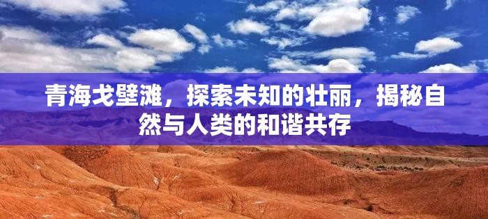 青海戈壁灘，探索未知的壯麗，揭秘自然與人類的和諧共存