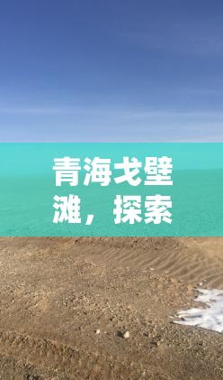 青海戈壁灘，探索未知的壯麗，揭秘自然與人類的和諧共存