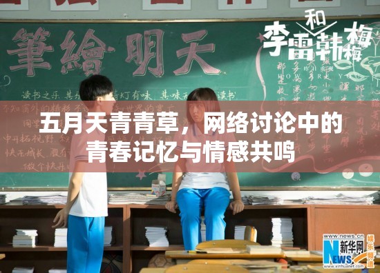 五月天青青草，網(wǎng)絡(luò)討論中的青春記憶與情感共鳴
