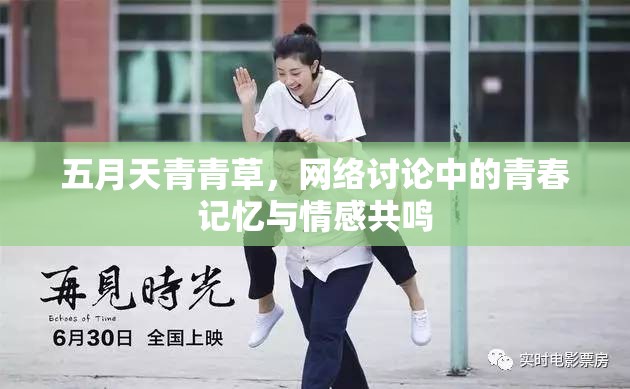 五月天青青草，網(wǎng)絡(luò)討論中的青春記憶與情感共鳴