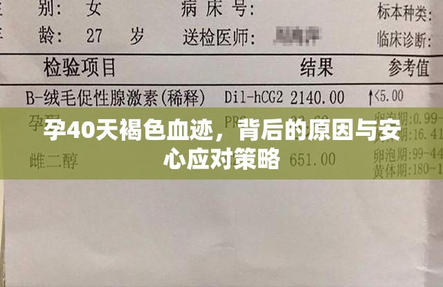 孕40天褐色血跡，背后的原因與安心應(yīng)對策略