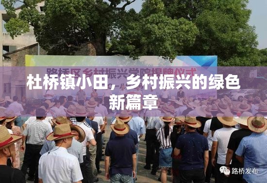 杜橋鎮(zhèn)小田，鄉(xiāng)村振興的綠色新篇章