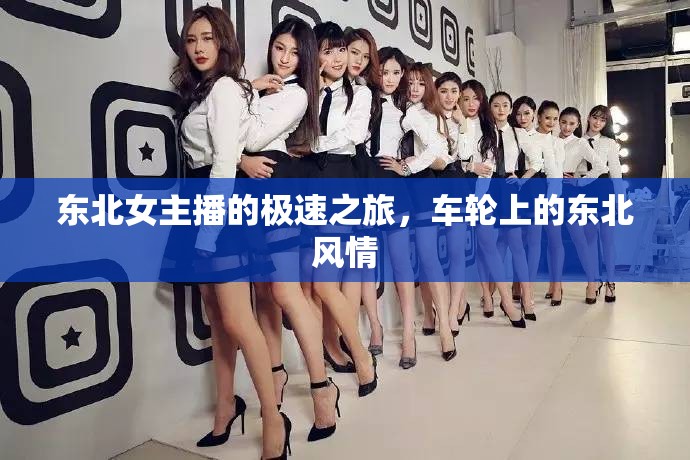 東北女主播的極速之旅，車輪上的東北風(fēng)情