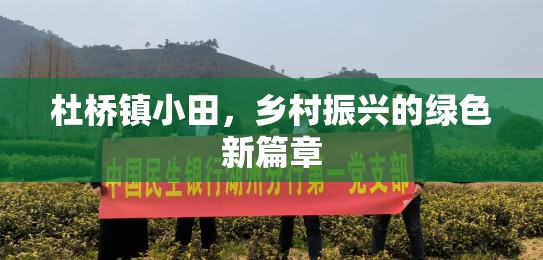 杜橋鎮(zhèn)小田，鄉(xiāng)村振興的綠色新篇章