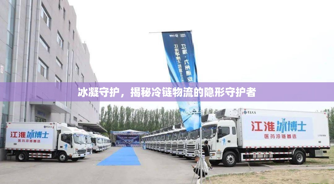 冰凝守護(hù)，揭秘冷鏈物流的隱形守護(hù)者