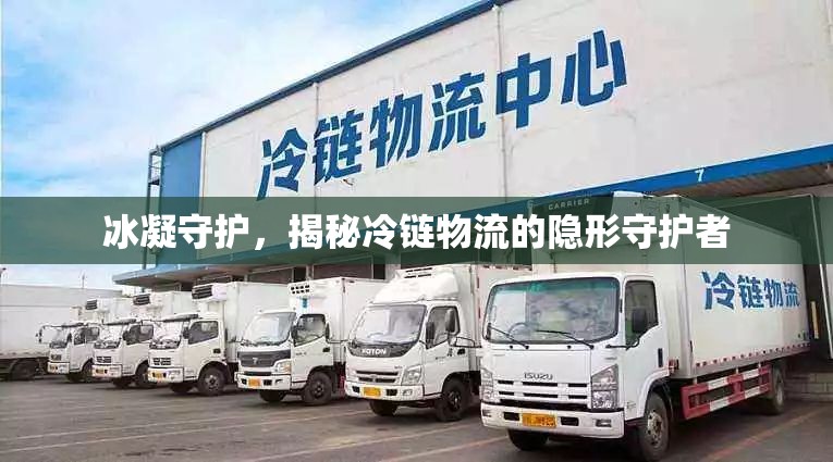 冰凝守護(hù)，揭秘冷鏈物流的隱形守護(hù)者
