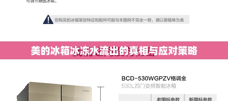 美的冰箱冰凍水流出的真相與應對策略