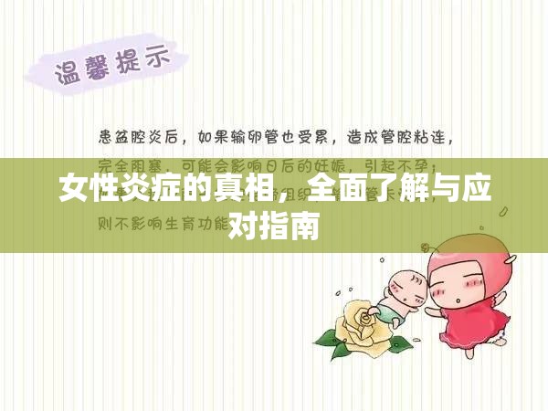 女性炎癥的真相，全面了解與應(yīng)對(duì)指南