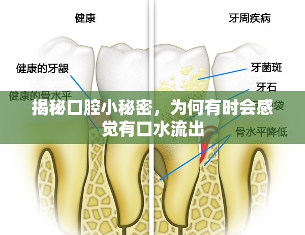 揭秘口腔小秘密，為何有時會感覺有口水流出