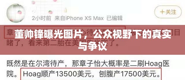 董帥鋒曝光圖片，公眾視野下的真實(shí)與爭(zhēng)議