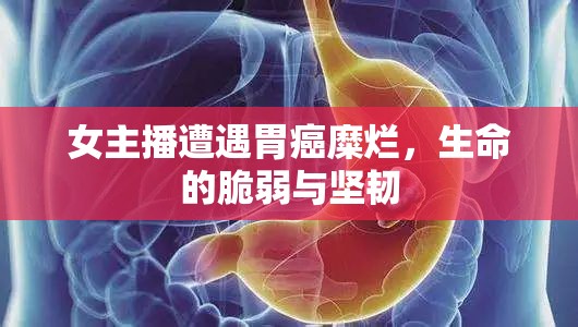 女主播遭遇胃癌糜爛，生命的脆弱與堅韌