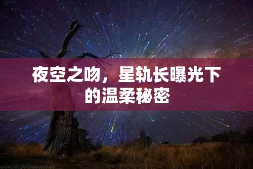 夜空之吻，星軌長(zhǎng)曝光下的溫柔秘密