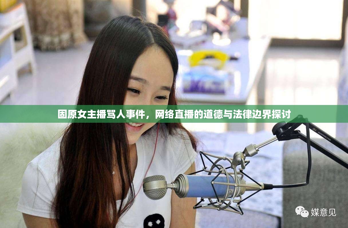 固原女主播罵人事件，網(wǎng)絡(luò)直播的道德與法律邊界探討