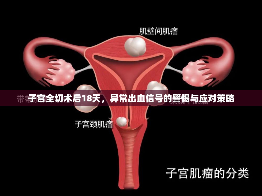 子宮全切術(shù)后18天，異常出血信號的警惕與應(yīng)對策略