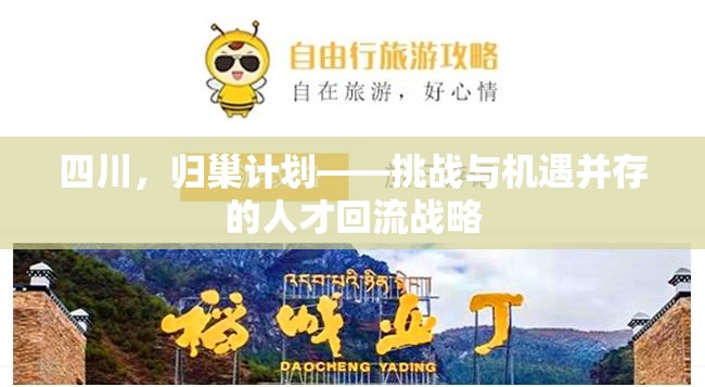 四川，歸巢計(jì)劃——挑戰(zhàn)與機(jī)遇并存的人才回流戰(zhàn)略