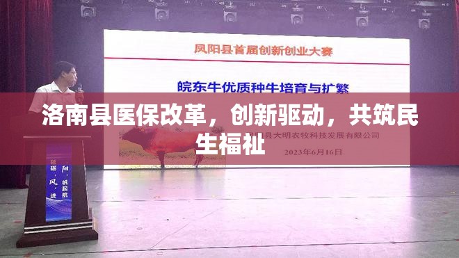 洛南縣醫(yī)保改革，創(chuàng)新驅(qū)動，共筑民生福祉