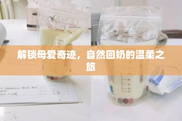 解鎖母愛奇跡，自然回奶的溫柔之旅