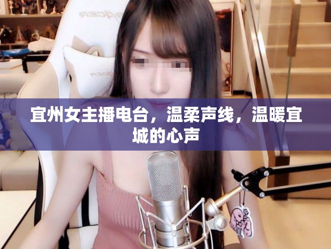 宜州女主播電臺(tái)，溫柔聲線，溫暖宜城的心聲