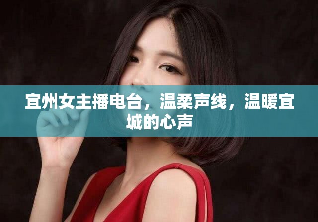 宜州女主播電臺(tái)，溫柔聲線，溫暖宜城的心聲
